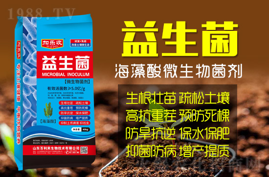 ɽ�|������(l��i)���＼�g(sh��)���޹�˾1