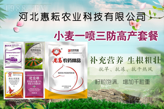 һ������