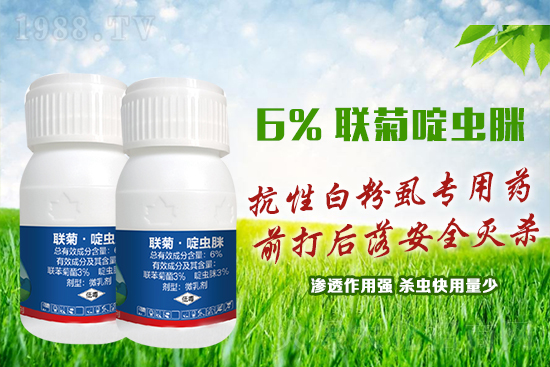 ���԰׷�ʭ�y�����y�Σ��@����ˎ�x���p�������x��