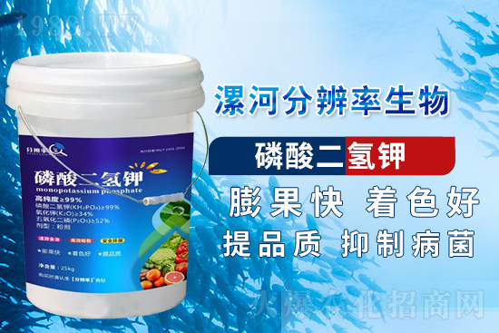 �~��ʵć�ʩ�`�^(q��)���@���c(di��n)�e������