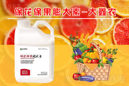 �ļ���������ٲ�������α��������