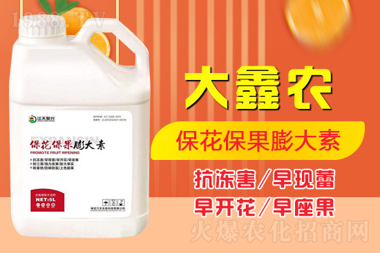 �ļ���������ٲ�������α��������