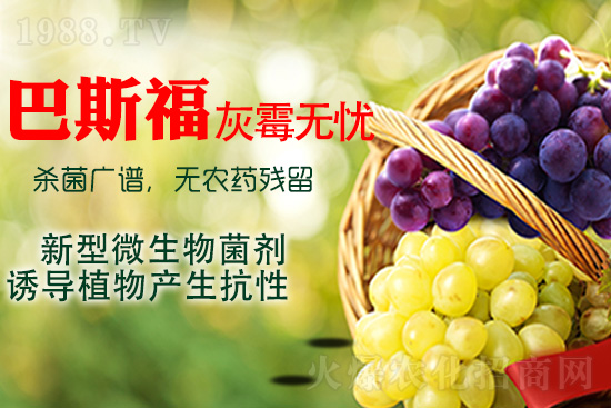 ���ѻ�ù��ԓ��ν�Q����ù����ˎ���h��