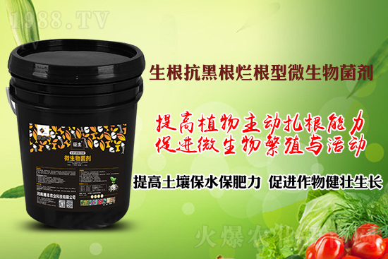 ����ڸ��������S�������l�l(f��)���á������p�ɽ�Q�����f�Nֲ����������