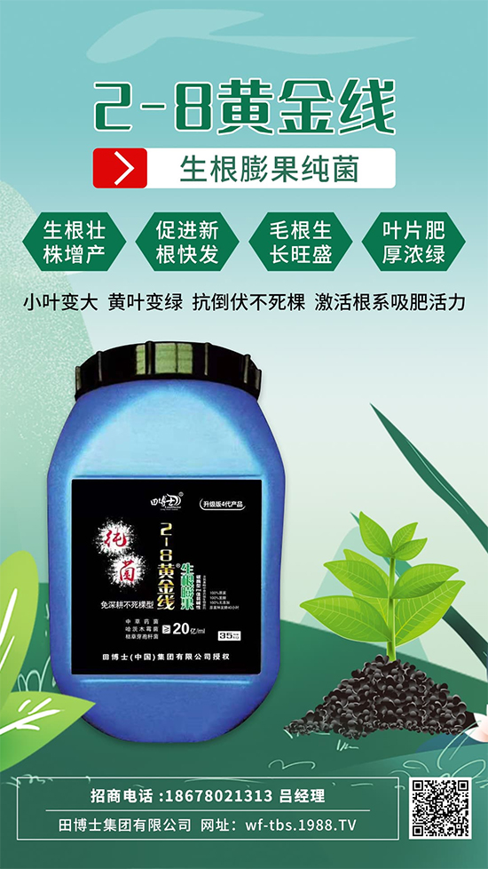 根是肥的嘴，萬物生長靠根系！作物爆發(fā)生根試試這一招! 