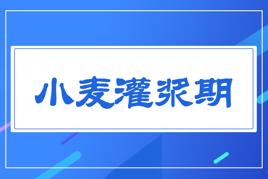 С�����{��