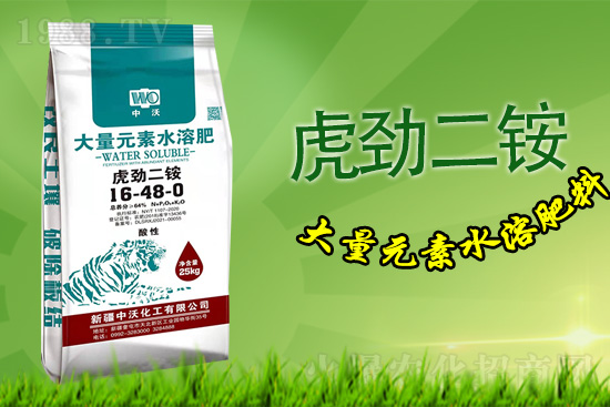 �½����ֻ������޹�˾6