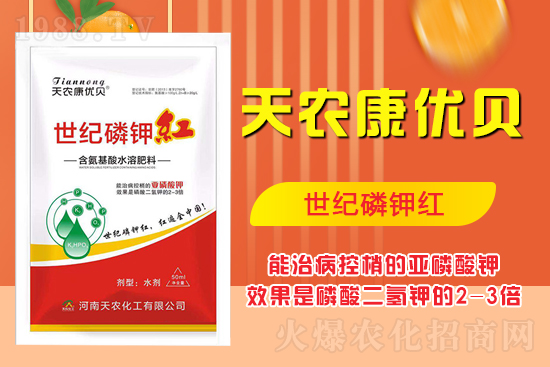 ���������ʲô���������˽�᣿