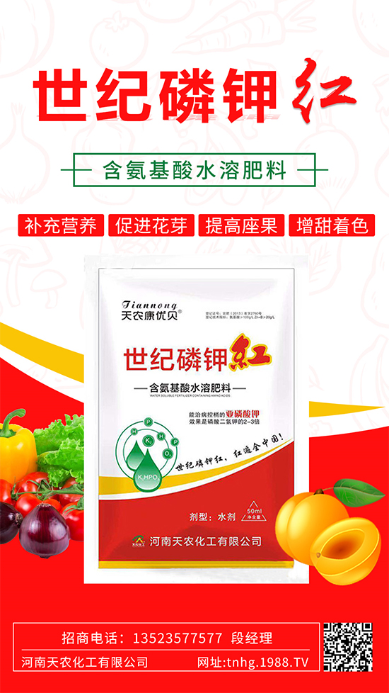 ���������ʲô���������˽����