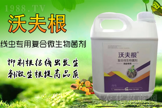 ���Y(ji��)���x��Ⱦ������������������������Ч����!