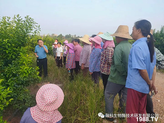 ���M(j��n)���g���^���������ٮa(ch��n)�I(y��)