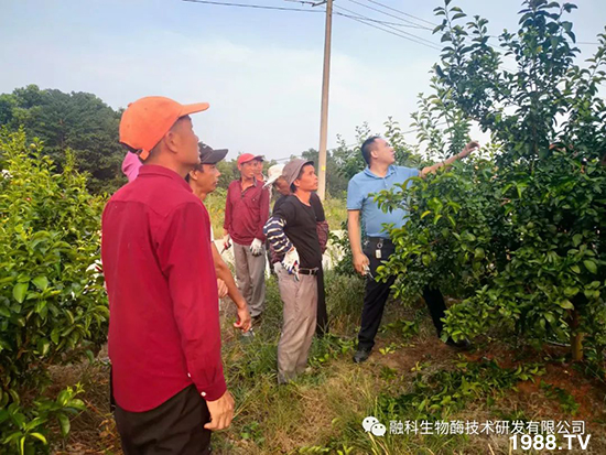 ���M(j��n)���g���^���������ٮa(ch��n)�I(y��)