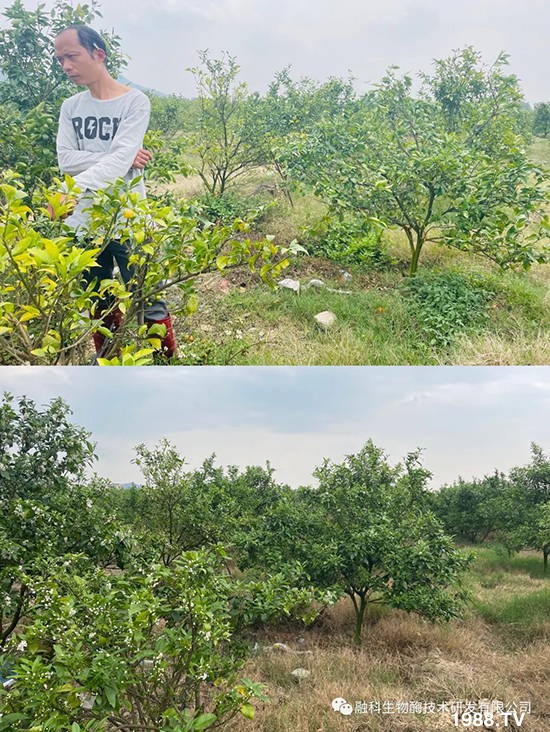 ���M(j��n)���g���^���������ٮa(ch��n)�I(y��)