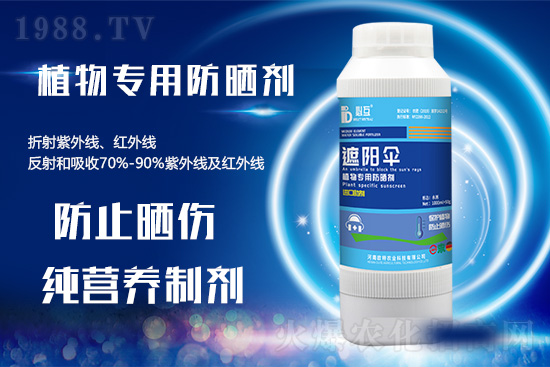 �ߜ������u������������E�[���쿴�������ˆ�? 