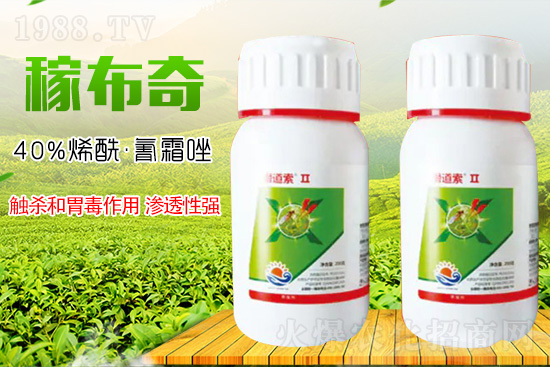 ɽ�|��Ƚ���W���޹�˾11