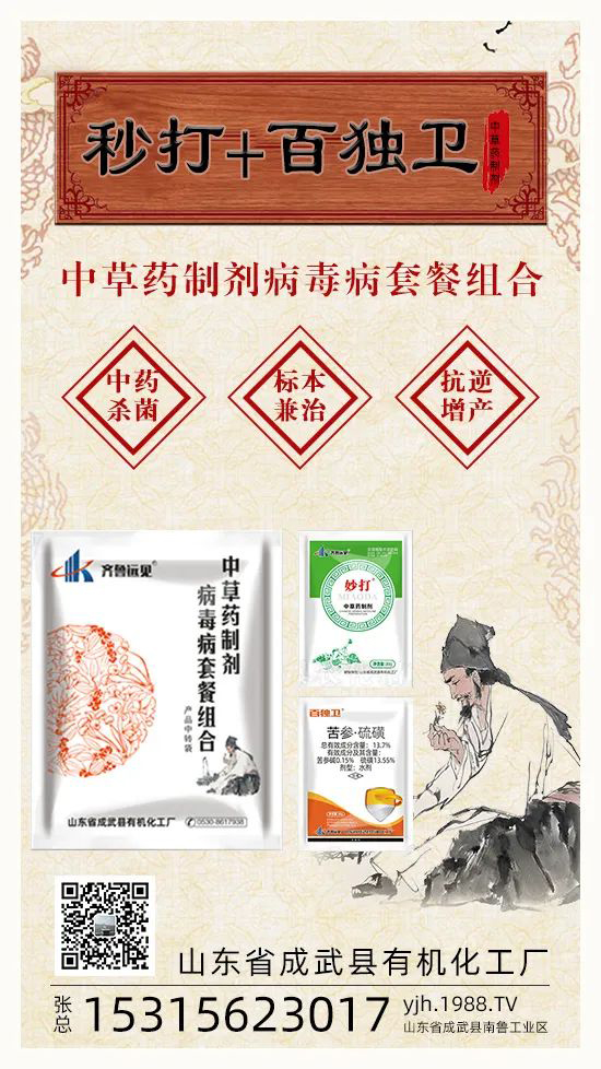 ��ֲ�ﰩ�Y-���������������������в�ˎ������������