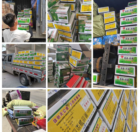 ��ֲ�ﰩ�Y-���������������������в�ˎ������������