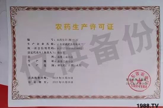 ��ֲ�ﰩ�Y-���������������������в�ˎ������������