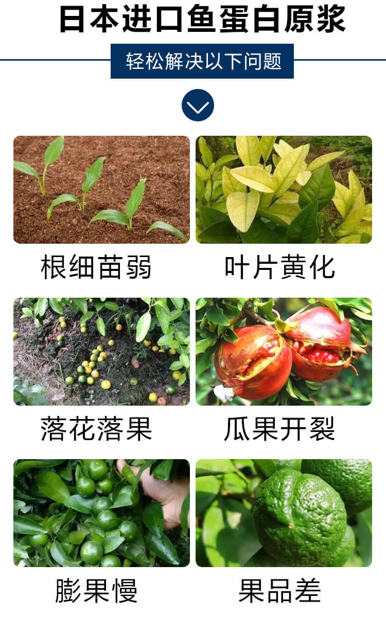 �ձ��M(j��n)���~����ԭ�{5