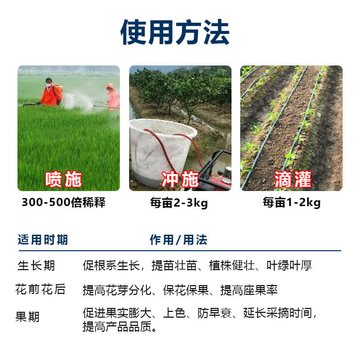 �ձ��M(j��n)���~����ԭ�{8