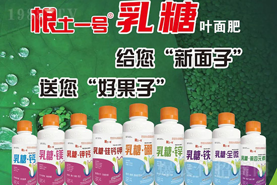 �J����������c(di��n)����Щ���J����������ôʩ