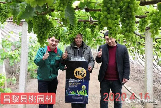 ����ܛ����ʲôԭ����η�����