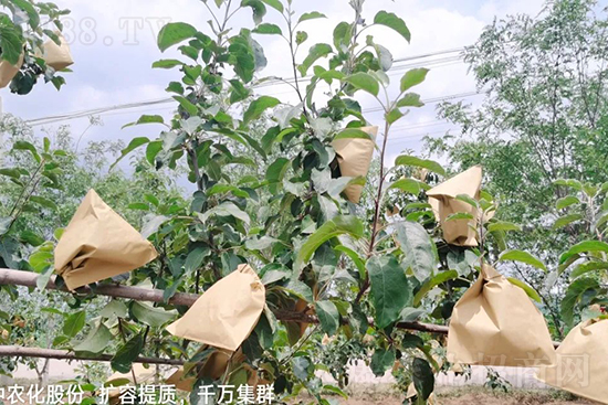     �����״���ɜp���r(n��ng)ˎ���������ƹ��ӵ����^Ʒ�|(zh��)���ɴ����߹�Ʒ�u�࣬�����׳��۲��u���߃r�����Թ����״�Ŀǰ��Ȼ���҇����@����Ҫ�����������״��O��������Ǻã�Ҳ�ٲ�����