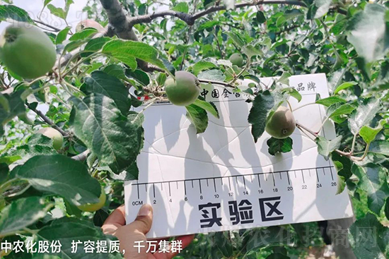     �����״���ɜp���r(n��ng)ˎ���������ƹ��ӵ����^Ʒ�|(zh��)���ɴ����߹�Ʒ�u�࣬�����׳��۲��u���߃r�����Թ����״�Ŀǰ��Ȼ���҇����@����Ҫ�����������״��O��������Ǻ���Ҳ�ٲ�����