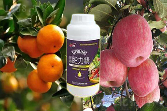 ����׷�ʏ�(f��)�Ϸʺ�߀�����غã��ܶ��˶��e(cu��)�������������_�x��