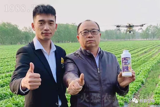 ����׷�ʏ�(f��)�Ϸʺ�߀�����غ����ܶ��˶��e(cu��)�������������_�x��