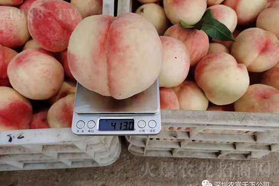 �Ҙ������ô�k���Ҙ����ԭ���A������