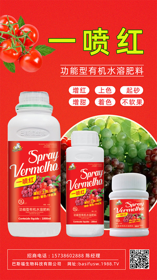 ����(sh��)�D(zhu��n)ɫ����������������������u�r(ji��)������ǰ���У�