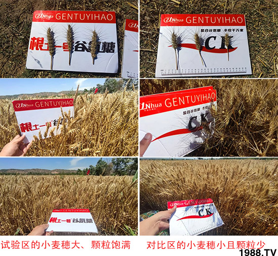 ɽ�����r(n��ng)�����＼�g�ɷ����޹�˾25