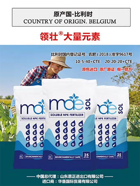 ��500�2000���߶��M(j��n)�ڷʡ��ԃr�Ȱ�����