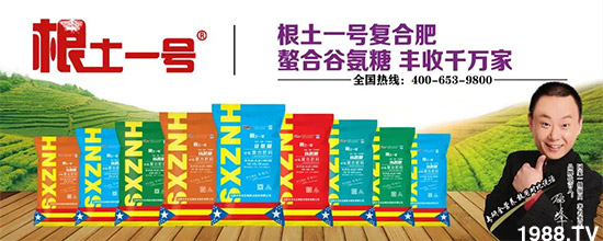 ɽ�����r(n��ng)�����＼�g�ɷ����޹�˾13