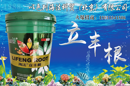 ���������Ч����ô�����Ȃ��y(t��ng)���Ϻ�����