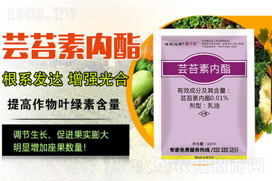 �|̦�؃�(n��i)����ɶ���Q��ֲ�����ˎ���|̦�؃�(n��i)����ô�x��