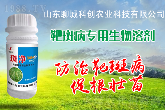 �S�ϰа߲�Σ��������������δ�ʩ����Щ��