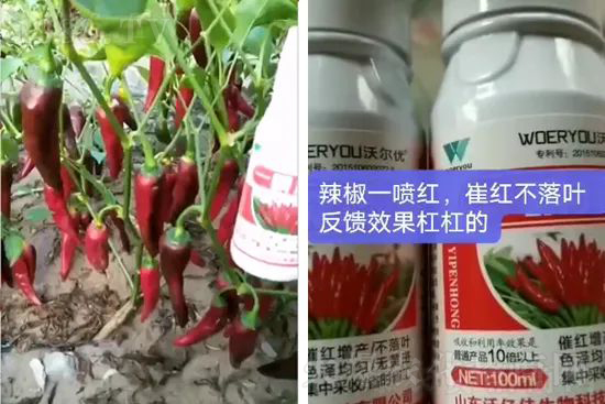 ���t�����95%���߼t�����~�����뷭�׷�����������һ���t��