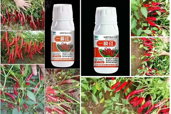 ���t�����95%���߼t�����~�����뷭�׷�����������һ���t��