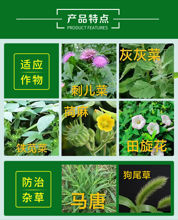 ȫ���{-嫪{_02