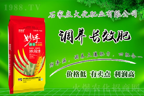 ��(zh��n)�Ժ�����������ʯ���f�󻯷ʘI(y��)�ٴκ��s1988.TV��