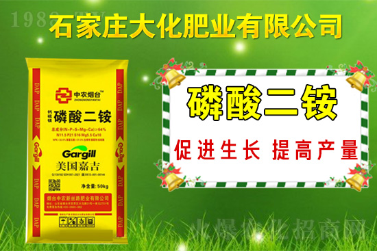 ��(zh��n)�Ժ�����������ʯ���f�󻯷ʘI(y��)�ٴκ��s1988.TV��