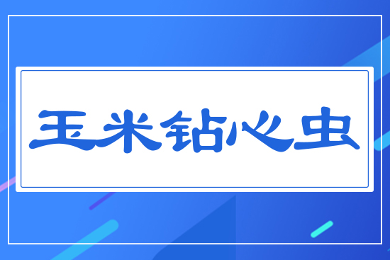 �����@���x(ch��ng)