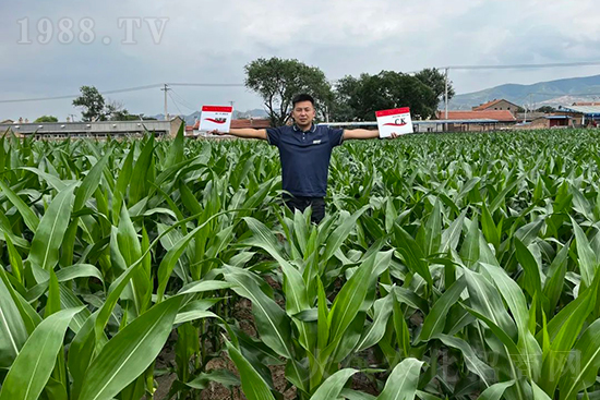 ��Դ��������ɣ��I(y��ng)�B(y��ng)�a(b��)��ȫ����