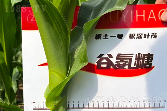 ��Դ������������I(y��ng)�B(y��ng)�a(b��)��ȫ����