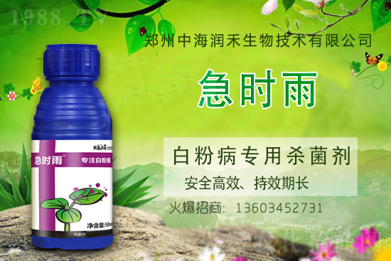 ���њ�����