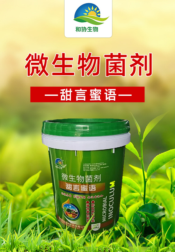 �������Z-�ͅf(xi��)����_01