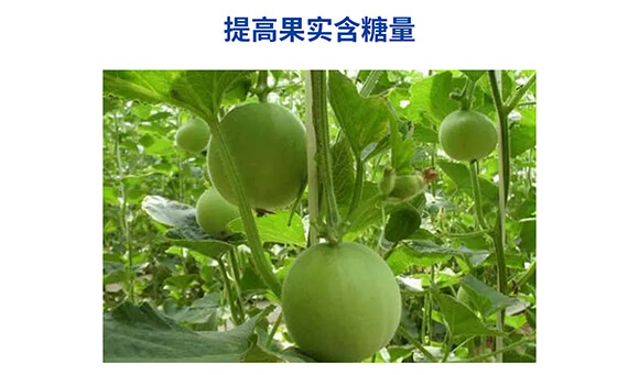 �������������0-400-450-�Θ���-���˺�_08