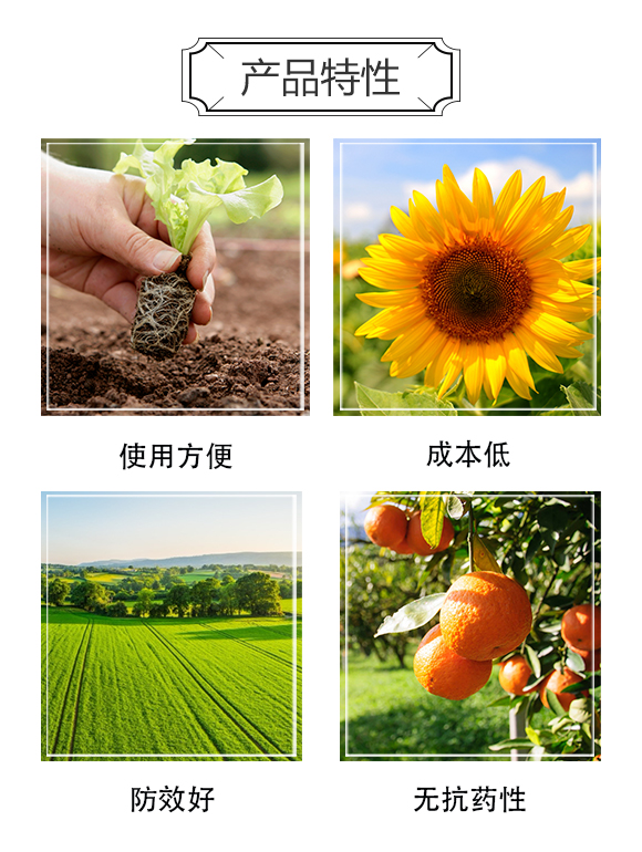 꿾����F(tu��n)_03